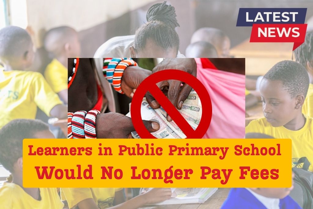 Learners in Public Primary School Would No Longer Pay Fees