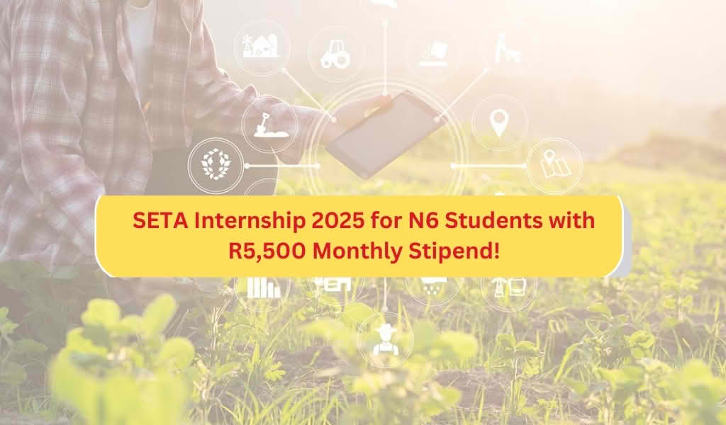 SETA Internship 2025