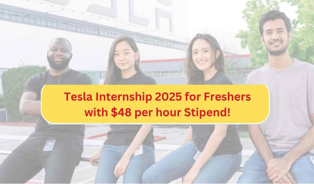 Tesla Internship 2025